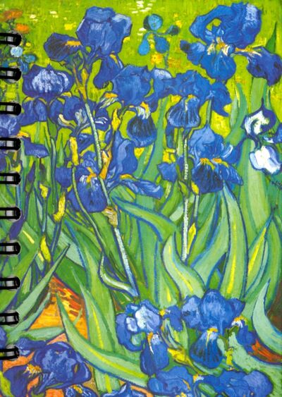 Скетчбук "Ван Гог. Ирисы" (А6, 100 листов, пружина) (01726) Попурри 