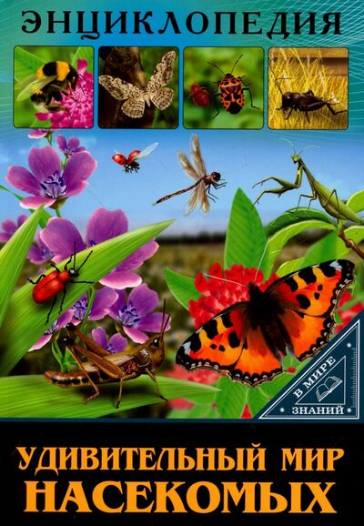 Книга: Удивительный мир насекомых (Соколова Людмила) ; Проф-Пресс, 2017 