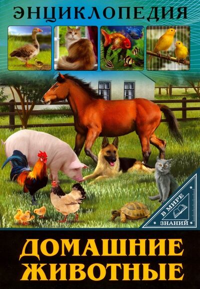 Книга: Домашние животные (Балуева Оксана) ; Проф-Пресс, 2017 