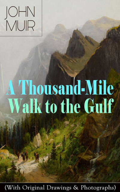 Книга: A Thousand-Mile Walk to the Gulf (With Original Drawings & Photographs) (John Muir) ; Bookwire