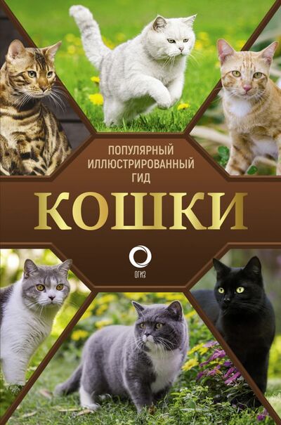 Книга: Кошки (Непомнящий Николай Николаевич) ; ИЗДАТЕЛЬСТВО 