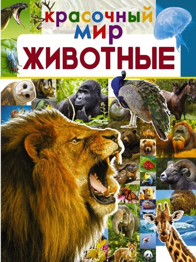 Книга: Животные (Вайткене Любовь Дмитриевна, Филиппова Мира Дмитриевна) ; Аванта, 2019 