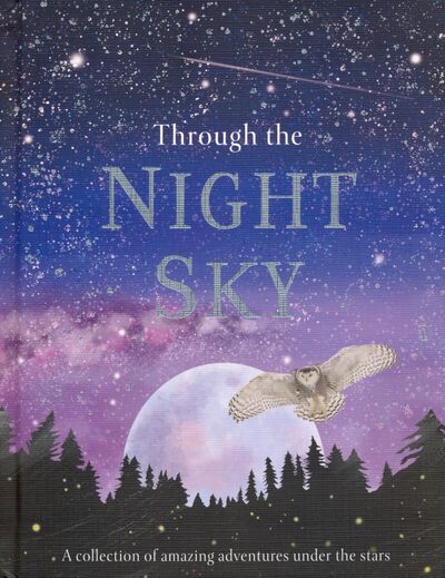 Книга: Through the Night Sky (Ganeri Anita) ; Dorling Kindersley, 2020 