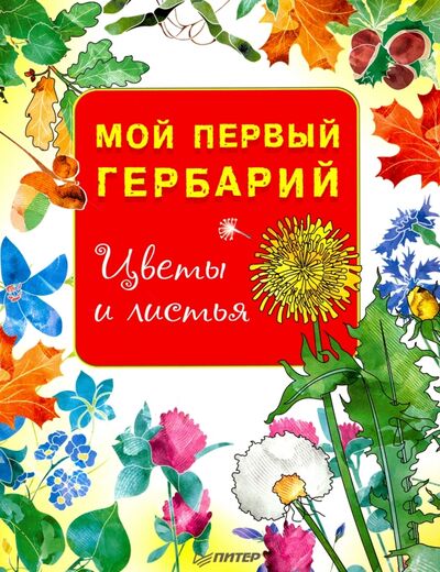 Книга: Мой первый гербарий. Цветы и листья. ФГОС (Андронова Е. (зав. ред.)) ; Питер, 2021 