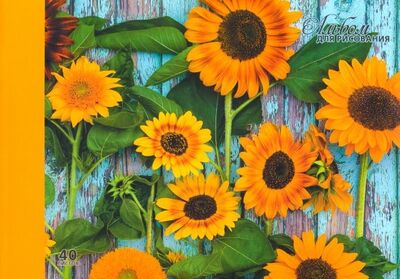 Альбом для рисования "Солнечные цветы" (40 листов, А4) (А401888) Канц-Эксмо 