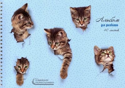 Альбом для рисования "Милые котята" (40 листов, А4, гребень) (АСКЛ401939) Канц-Эксмо 
