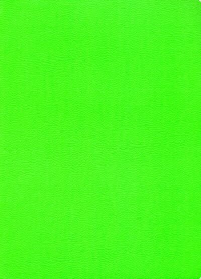 Тетрадь общая "Зеленый неон" (80 листов, А4-, клетка) (ТКИКН4804519) Канц-Эксмо 