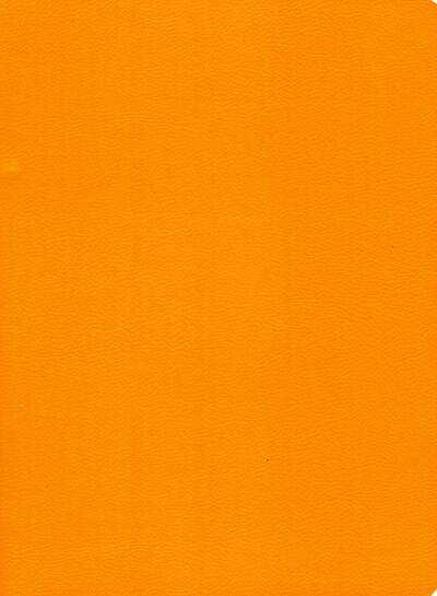 Тетрадь общая "Оранжевый неон" (80 листов, А4-, клетка) (ТКИКН48045160 Канц-Эксмо 