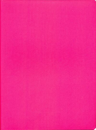 Тетрадь общая "Розовый неон" (80 листов, А4-, клетка) (ТКИКН4804517) Канц-Эксмо 