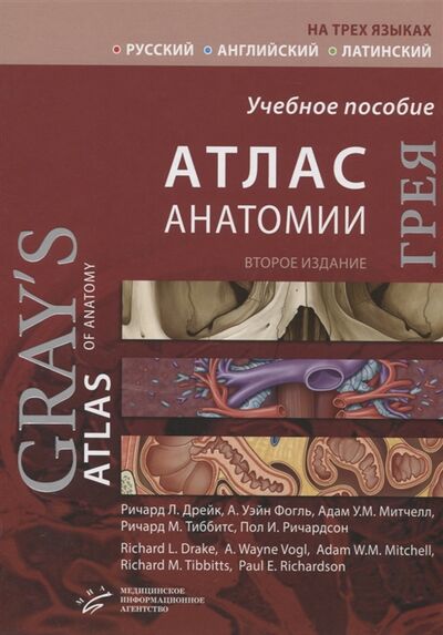 Книга: Атлас анатомии Грея Учебное пособие русский английский латинский (Дрейк Ричард Л.) ; МИА, 2021 