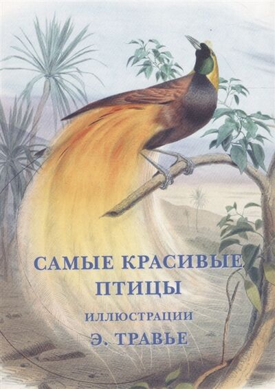 Книга: Самые красивые птицы Набор открыток (Нет автора) ; Печатная слобода, 2015 