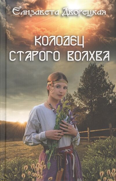 Книга: Колодец старого волхва (Елизавета Дворецкая) ; Клуб Семейного Досуга, 2019 
