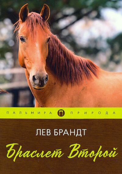 Книга: Браслет Второй (Брандт Лев Владимирович) ; Пальмира, 2020 