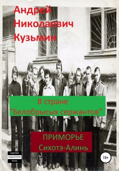 Книга: В стране «белобрысых сержантов» (Андрей Николаевич Кузьмин) ; Автор, 2012 