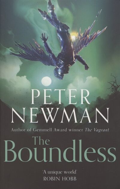 Книга: The Boundless (Newman Peter) ; Не установлено, 2021 